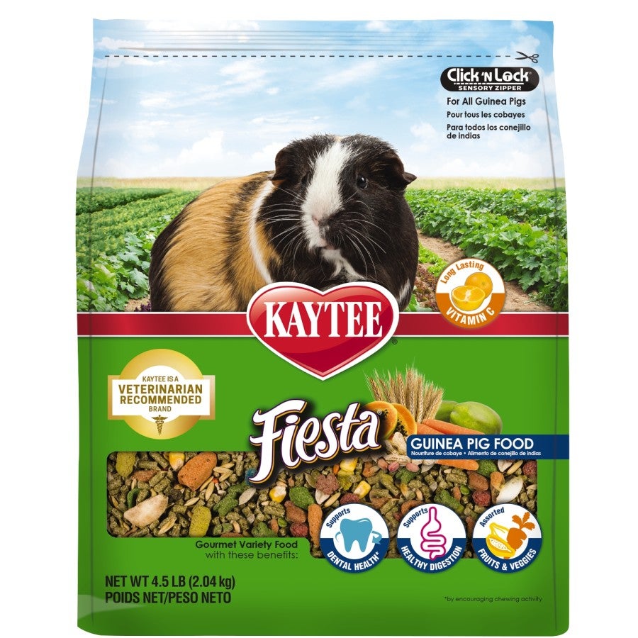 Kaytee fiesta chinchilla food new arrivals