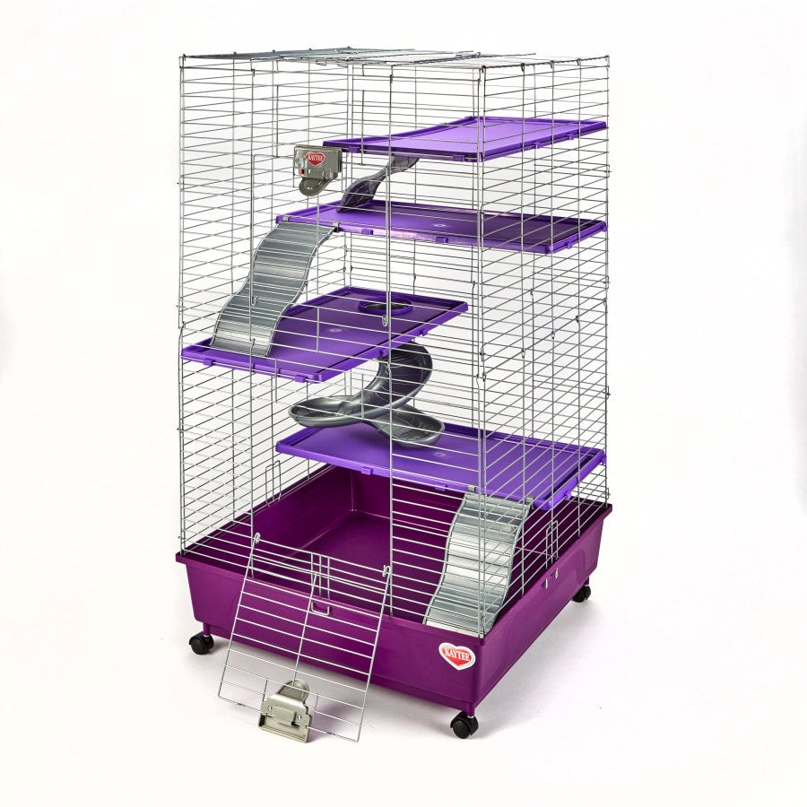 Kaytee ferret home plus new arrivals