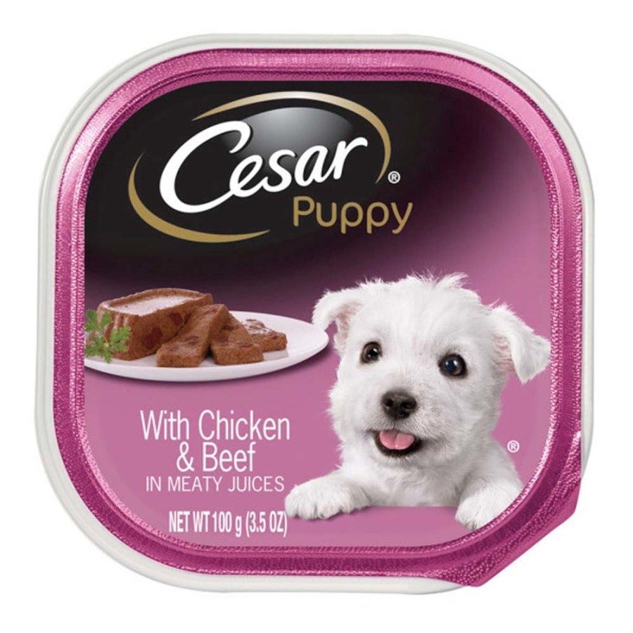 Cesar for puppies 2025